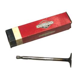 Briggs & Stratton 262247 And Intake Valve