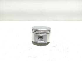 Briggs & Stratton 394955 Oem And Piston Assembly