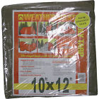 Bt1012 Dize Brown Poly