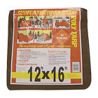 Bt1216 Dize Brown Poly