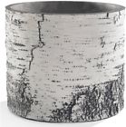 Bv-12 Surreal Planter For Home Patio Or Garden With Natural Birch