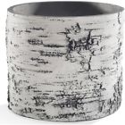 Bv-9 Surreal Planter For Home Patio Or Garden With Natural Birch