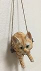 C318g899 Unbranded Tabby Cat Climbing Rope Hanging Tree Branch Swinging Kitten