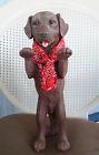 C340b797 Unbranded Chocolate Lab Puppy