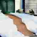 C51924a Ppr Direct New Ice Carpet Mat Winter Weather Snow Safety Non Slip Walkway Over 841110111886
