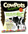 Cp-3-sq-12pk-12pks Cowpots Biodegradable Plant Pots Square 893947001038