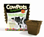 Cp-4-sq-12pk-12pks Cowpots Biodegradable Plant Pots Square 893947001021