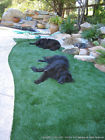 Day Pcs Artificial Game 7 Turf Grass " 10 Beautiful . 5 2