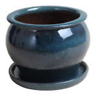 Db10021-11j Trendspot Inc Aqua Blu Studio Pot 037094412839