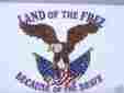 Ff-lof35 Military Famousflags Land Of The Free Because Brave Flag 3x5 Patriotic Banner Made In Usa