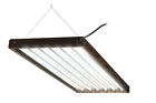 Flp46 Hydrofarm Tube Designer Grow Light System Bulbs 638104008785