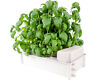 Gcsb Hydrofarm Salad Box Garden Hydroponic Unit Kit