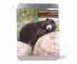 Gr100035 Gift Republic Adopt A Bear Box 5060129253430