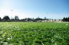 Grass Green Artificial Indoor Soft Flooring Turf Synthetic Mat Outdoor Rug