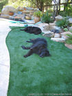 Great Piece Ft Sq 7 Turf Beautiful 8 Remnant 56 Artificial