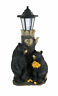 Hd53456 World Of Wonders Bear First Date Solar Led 841548107130