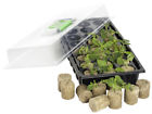 Js24mp Hydrofarm Jump Start Macro Plug Mini Germination Station 638104014052