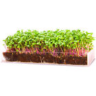 Mg-micro-kit Window Garden Serve Microgreen Growing Kit