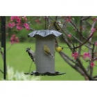 Ff202a N-a Birds Choice Forever Nyjer Feeder Brand New 0789453009135
