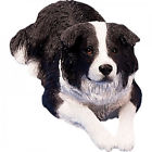 N-a Sandicast Original Size Border Collie Sculpture In Black 0746314002964