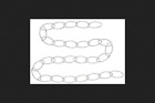 N275-016 National Hardware Plnt Wht Pack 038613275010