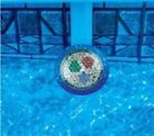 Na411 Blue Wave Smart Pool 628208141334