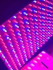No Aplicable Sin Marca Led Grow Light Network Blue Full