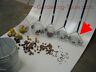 Nw-10 Nut Wizard Mini Dumper Casings Ammo Shooting Range 050404910320