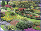Oe1000 Easy Garden Roll Out Flowers Olde English Kit 894047000013