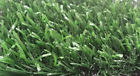 Oz 1.90 Bi 10 Sq Ft 15 Thatch Prices Color 53 Bonus Mono Green