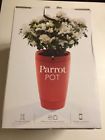Pf901001aa Parrot Pot Brick Red 3520410038570