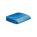 Pt1530 Dize Blue Poly
