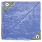 Pt2436 Dize Blue Poly 000852124367