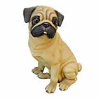 Ql6371 Tuscano Wrinkles The Pug 0635650952524