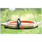 Se572 Songbird Essentials Mini Hanging Bird Bath Feeder Clay 645194005723