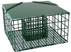 Se6000 Songbird Essentials Squirrel Resistant Suet Palace New Ships 645194600003
