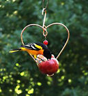 Sehhlbap Songbird Essentials Heart Shaped Love Birds Fruit 645194001183