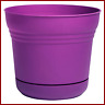 Sp1429 Bloem Saturn Planter Saucer Passion Fruit