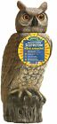 Srho4 Dalen Gardeneer Owl Ornament Boxed 016069004781