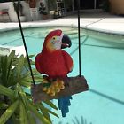 Ww-6426 Swing Parrot Macaw Red