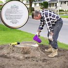 Thtreestump Tvtimedirect 2 Packs Tree 600606722544