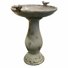 Tlr102lbr Alpine Beautiful Garden 24 821559019592