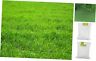 Turf-lope-500-f Perennial Ryegrass Seed Blend Sq Ft