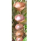 Umb-cf Monarch Int L Inc Copper Rain Chain Water Umbrella Eaves Metal Decor Patina Eco-friendly 717170059980