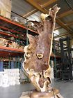 Uni40-001 Handmade Acacia Tree Trunk Hollow Shell