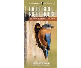 Wfp1620052273 Waterford Press Right Bird House By The Nestwatch Project At Cornell Lab Of Ornitholo