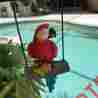 Ww-6426 Red Macaw Parrot On A Swing 758232364260