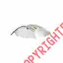 Xt42hv Hydrofarm Xtrasun Parabolic Horizon Vertical Reflector 638104007542