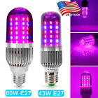 Y1zw00950097us Esbaybulbs Led Growing Corn Bulb Grow Light Lamp For Hydroponics