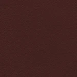 Bmw Terra Leather Dye. Fixed Price $174.95.